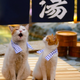 Image for article titled Cats Are the Cutest Guides to Japan